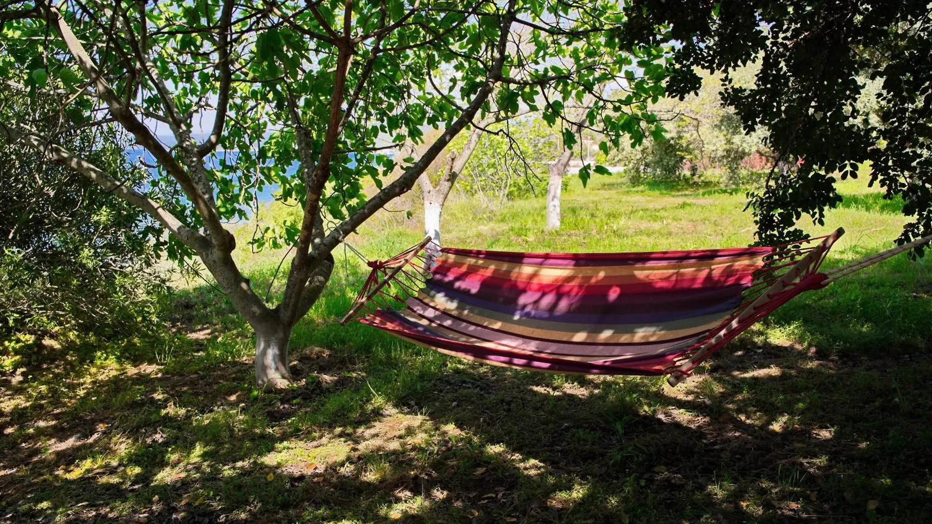 Beachfront Villa With Huge Garden, 3Br, Halkidiki Nea Roda
